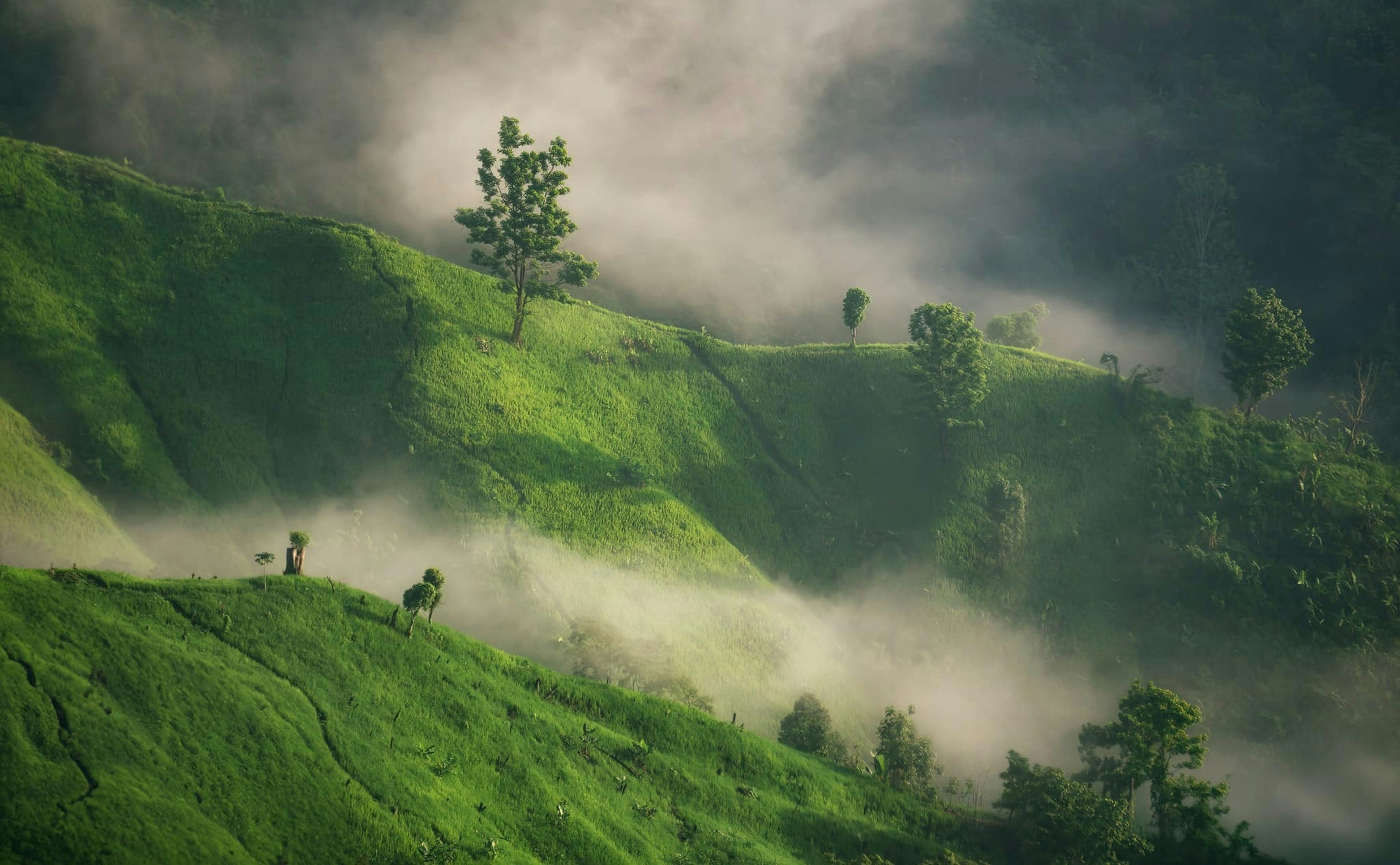 Lush green hillside covered in fog and clouds in Bandarban, Bangladesh